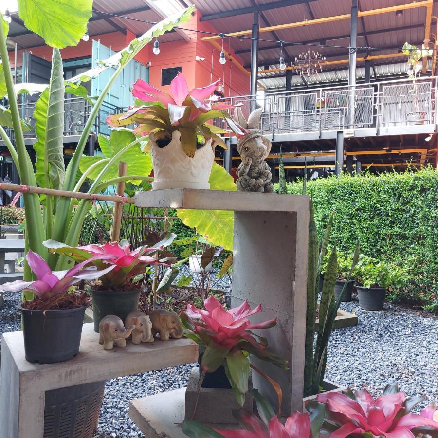 Kipbox Hotel Trang Esterno foto